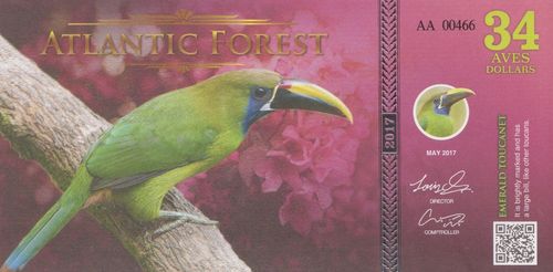 34 Aves Dollars Atlantic Forest 2017 A6